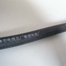 天津市电缆总厂橡塑电缆厂营销部 供应产品
